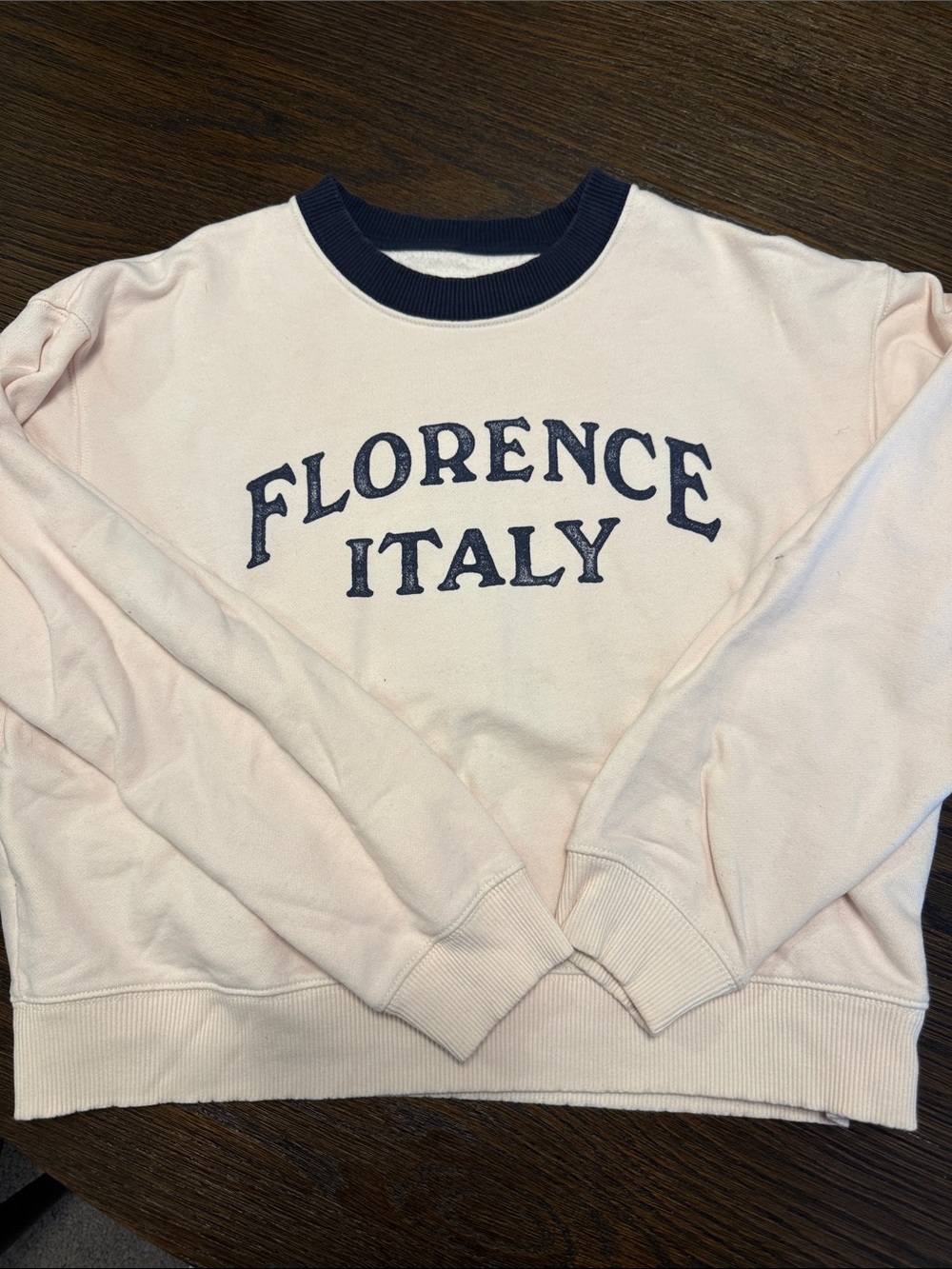 American Eagle Outfitters Pink & Navy 'Florence Italy' Crewneck Sweatshirt
